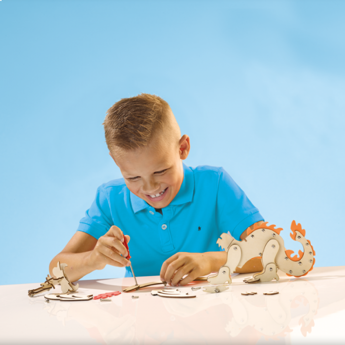 Conjunto de Dragões