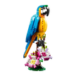 LEGO 31136 Creator Papagaio Exótico