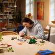 LEGO 11505 Cogumelos Silvestres